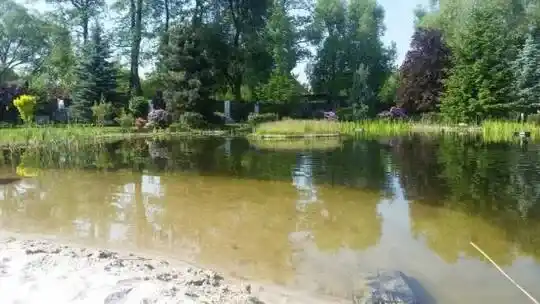 Diseño de estanques de baños - Estanques decorativos