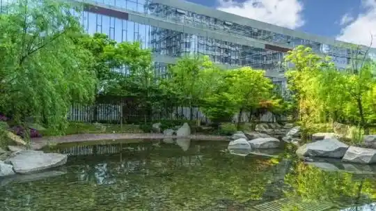 Diseño de estanques de baño, construcción - Pequeña retención de agua