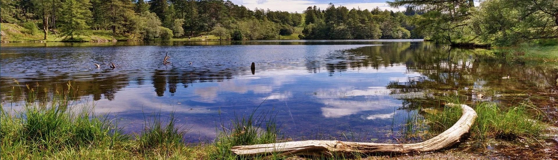 Diseño de estanques de baño - diapositiva 02